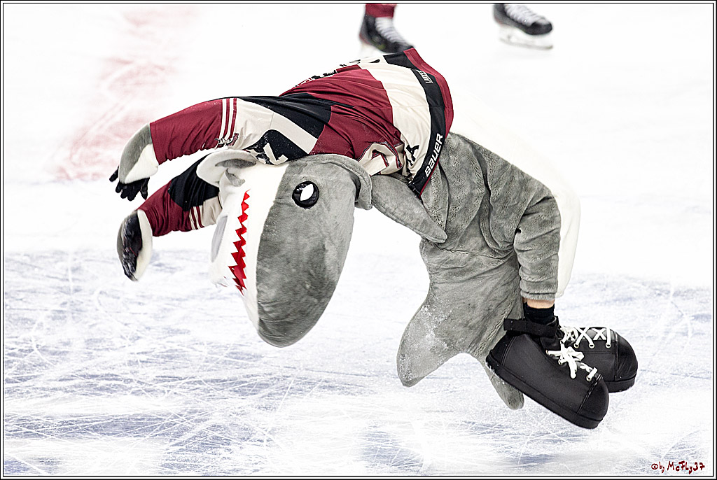 PENNY DEL;  Koelner Haie - Duesseldorfer EG ; Koeln, 17.12.2020